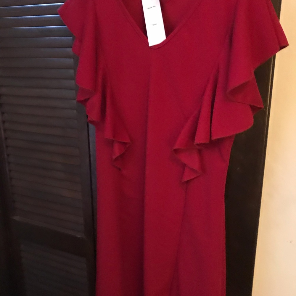 Brand new Ted dress